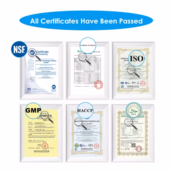 Food Grade High Quality 200 Mesh Pure Creatine Monohydrate Powder with Private Label Creatine Monohydrate