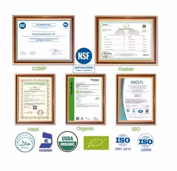 Suministro de fábrica Puro 100% natural Extracto de frutas y verduras Polvo de jugo de pepino