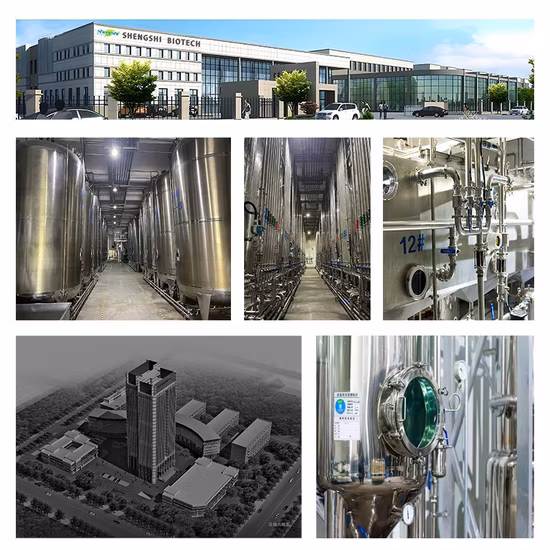 Precio de fábrica 98% CAS 57-00-1 Creatina anhidra