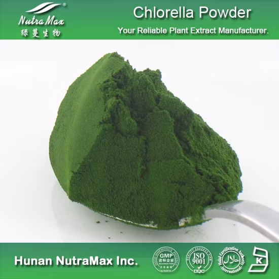 Fabricante orgánico de grado alimenticio Suministro Chlorella Vulgaris 60% Proteína Chlorella en polvo